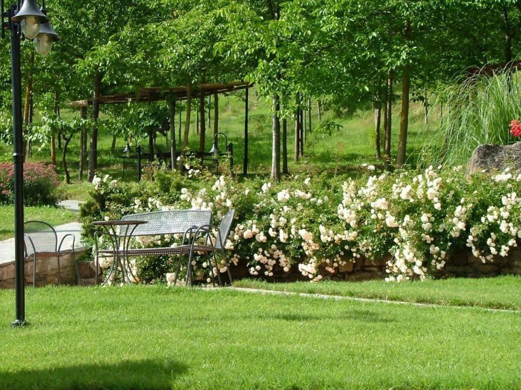 Agriturismo Podere La Casaccia Villa Poppi Buitenkant foto